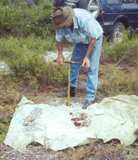 Soil inspection