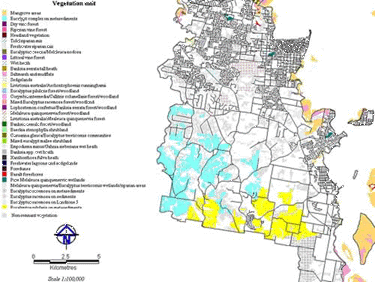 Remnant vegetation map