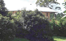 Agriculture and housing side by side.